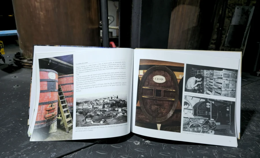 20251208_165057-_1_-_1_